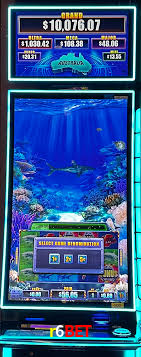 Casino Ao Vivo r6bet